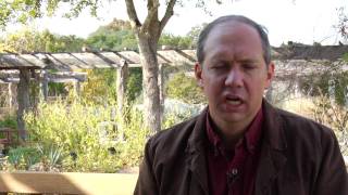 Insect Information What Do Tiger Swallowtail Erflies Eat?