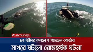 সাগরে ১২টি তিমির কবলে দুই প্যাডেল বোর্ডার, তারপরে কী হলো? | Argentina Whale screenshot 5