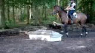 Molenhorns Ricardo Instructiecross Wieringerwerf