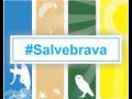 ESPECIAL SALVE BRAVA - Feat Daniela Ochialini ACBRAVA, @salvebrava no instagram