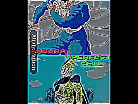 Dabura vs perfect