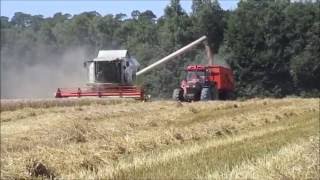 Moisson de blé [Août 2016]