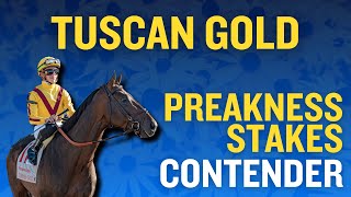 Preakness Stakes Contender: Tuscan Gold