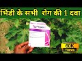एक ही स्प्रे से भिंडी के सभी कीट और रोग खत्म | Bhindi ki kheti kaise kare | #pegasus_insecticide