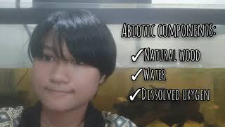 Abiotic and Biotic Factors in an Aquarium