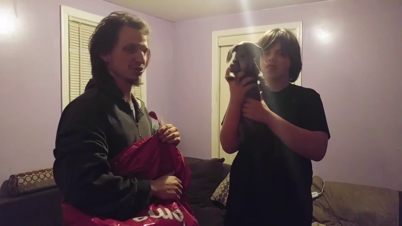 Уильям и Энди разговаривают с воздушными шарами, наполненными гелием