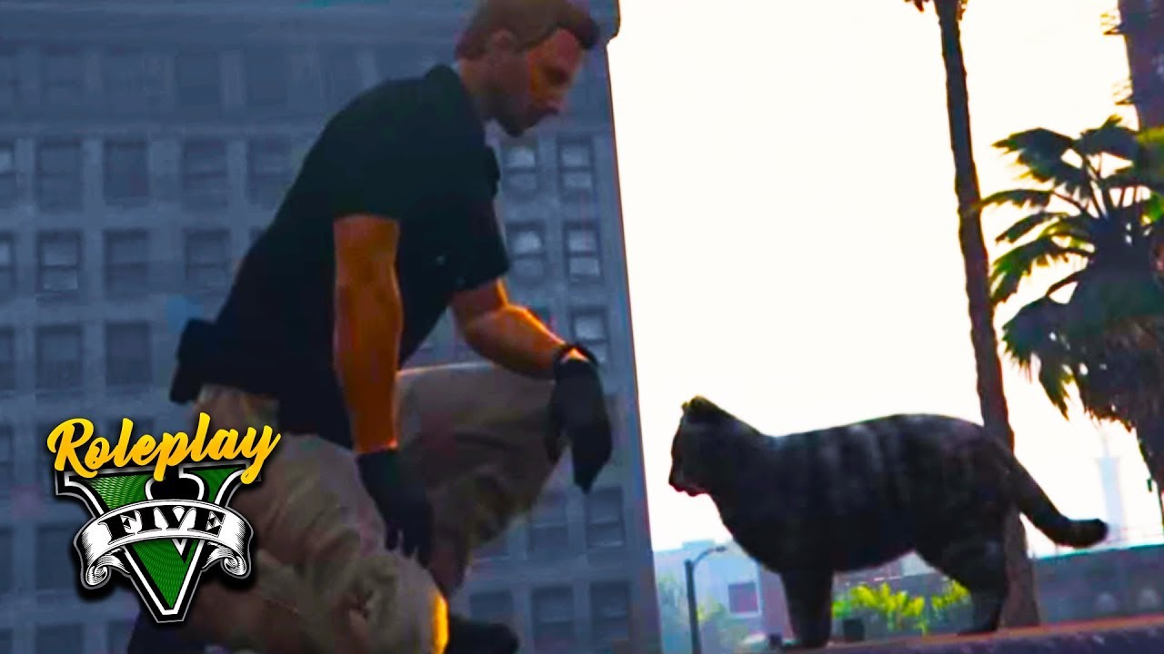 GTA 5 Real Life 👮 Suspendiert wegen einer Katze? • GTA Roleplay