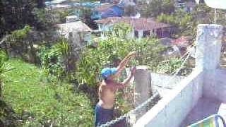 carnaval 2010 083.avi