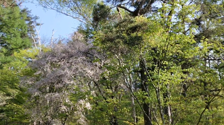 日本の音風景100選 サウンド ライブラリ