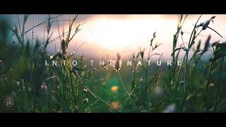 Fourtwnty - fana merah jambu | Cinematic Video