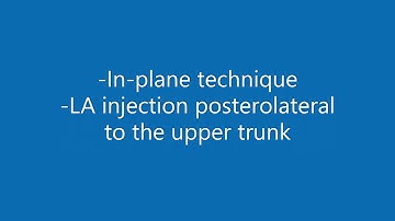 Superior trunk block