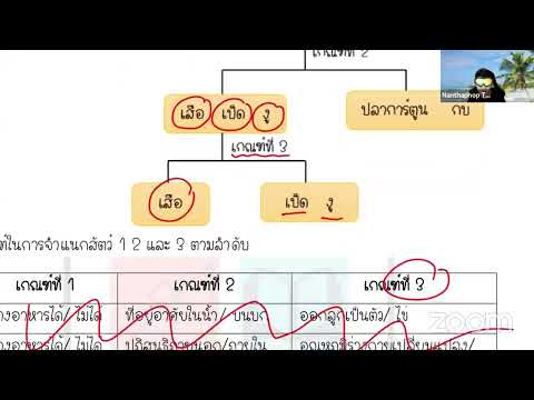 เฉลย Pre-test บดินทรเดชา วิทยาศาสตร์ ปีล่าสุด 2564