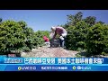 美對巴西開徵關稅
