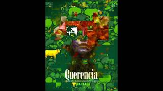 2024 섬진강국제실험예술제(SIEAF) &#39; Querencia&#39;