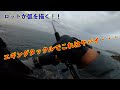 リベンジエギングでボイルに出会った結果【エギング#5】