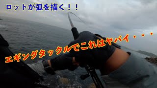 リベンジエギングでボイルに出会った結果【エギング#5】