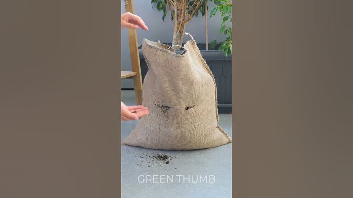 Surprising Gardening Tips Every Planter Should Know! ☘️