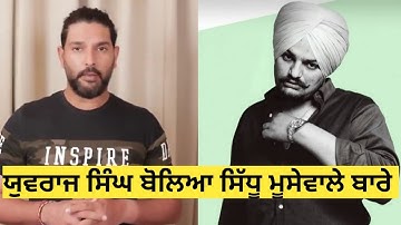 Indian Cricketer Yuvraj Singh Talking About Sidhu Moosewala | Which Celebrities are Fan Of Sidhu
