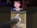 GROUNDED MILK MOLAR GUIDE #17