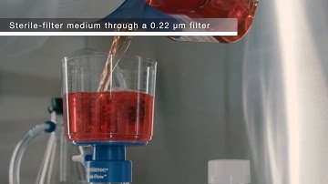 How to Use video for SILAC metabolic labeling using mass spectromety