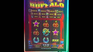 RED HOT BUFFALO FOR THE MF WIN YESSSSSIIIIIRR 💰💰💰🤑🤑 CAUGHT THEY AHHH #foryou screenshot 3