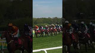 sandown park