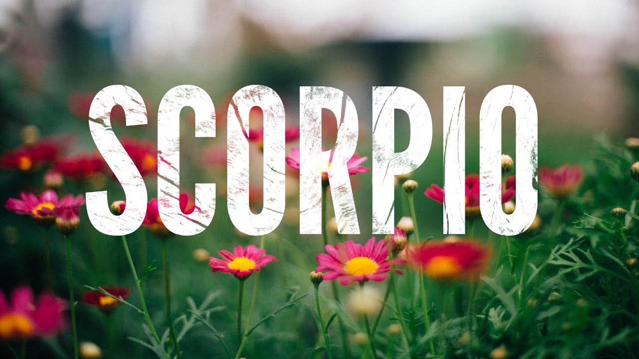 Unforgettable перевод. The crossing. April is coming. невероятные приключения джоджо 2021. стендап крис рока на нетфликс.