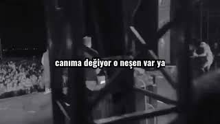 Sen Gül Aman Ha Kaşını Çatma, Yaralı Canına Yeni Dertler Katma