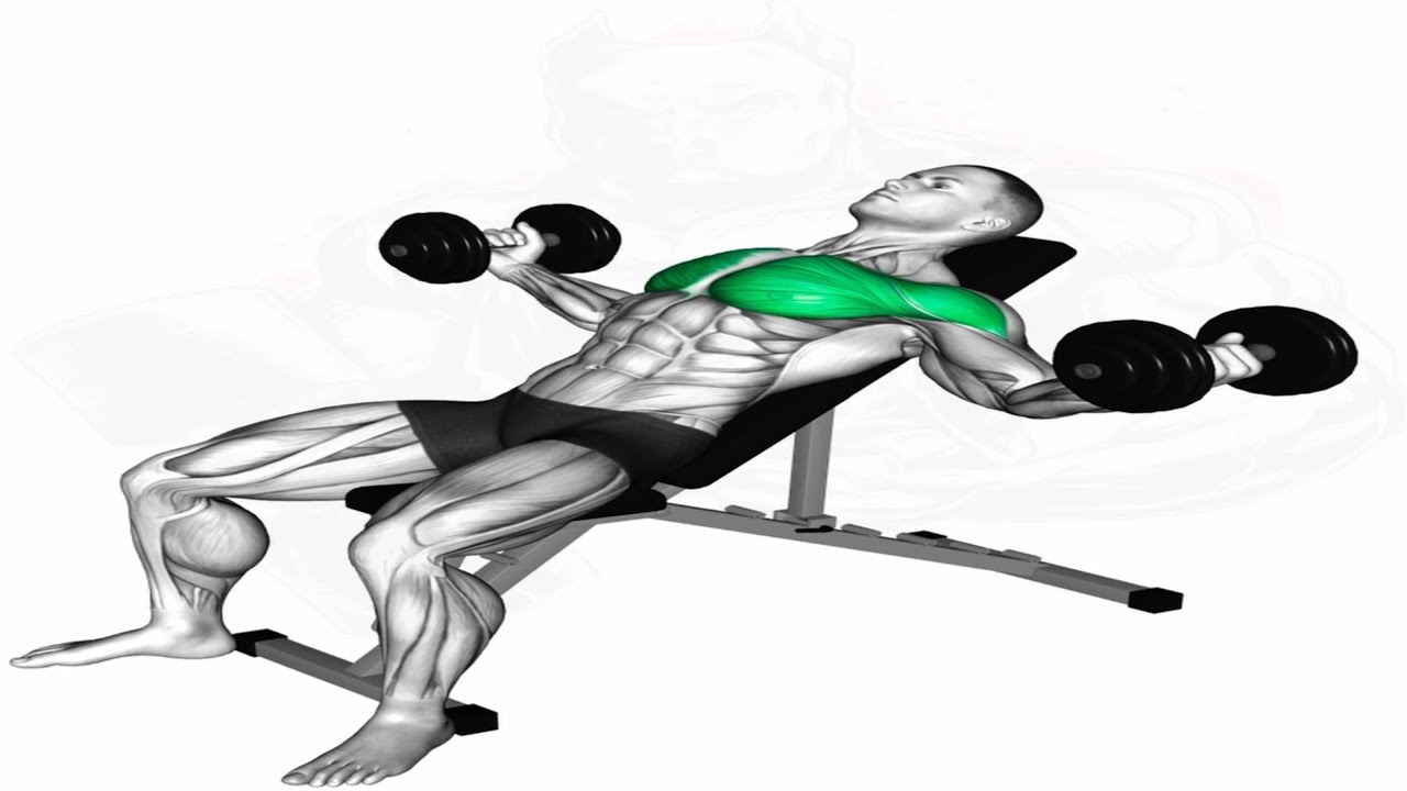 Chest Pro Scientific Routine - YouTube