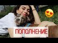 Я ЗАВЕЛА СОБАКУ! | Первая неделя щенка дома || Анетта Будапешт