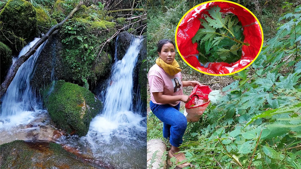 Manjita picking nettle near beautiful river