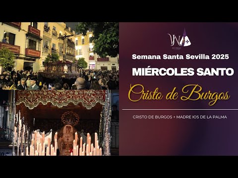 Pontificia, Real, Ilustre y Fervorosa Hermandad del Santísimo Cristo de Burgos, Negaciones y Lágrimas de San Pedro y Madre de Dios de la Palma