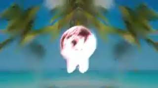 DJ CALMA REMIX TIK TOK