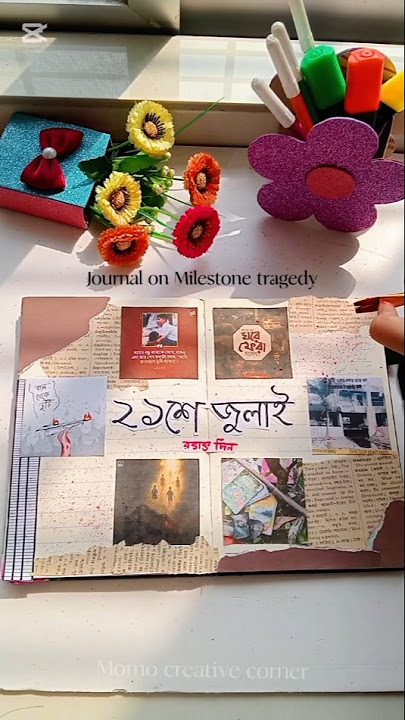 Journal on Milestone Tragedy🖤 #shorts #shortsvideo #milestone #tragedy #plane #crash