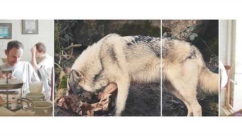 Pixel Film Studios - TranSlice: Reveal - Professional Split Screen Transitions - Final Cut Pro X