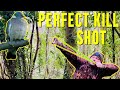 Slingshot hunting pest control with gamekeeper john the perfect shot