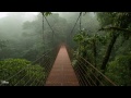 1 Hour Rain and Thunder;Sleep,Relaxing,Meditation ASMR Sound HD High Quality