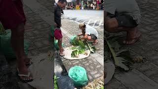 Barrigudo mais vendedores ambulantes de Itapipoca Ceará e show papai
