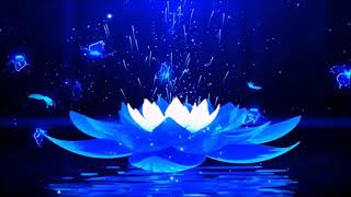 A Frequência Hertz Clareza Mental,(❁´◡`❁)Acalma, Reatividade Interna
