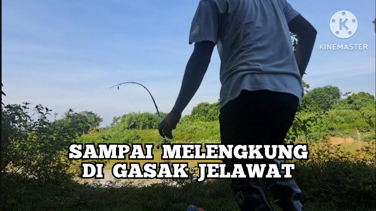 JELAWAT SUNGAI KINTA JARANG TAK PADU.