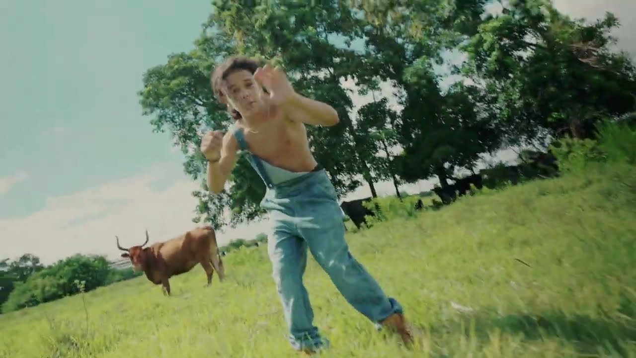 M3Deep Cash Cow (VIDEO)