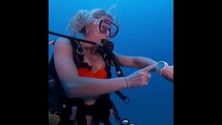 Blonde Woman Goes Scuba Diving in Australia