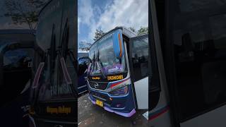 Storywa Bus Sugeng Rahayu Mboiss 30 Detik