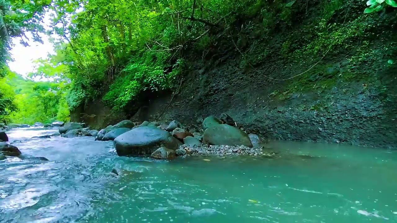 Nature's Calm - Sleep Like a Baby – This Forest Stream Sound Is a Total Game Changer - Deep Sleep