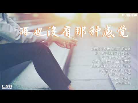 再也没有那种感觉  ~  杨小壮  |  铃声  (DJ版)