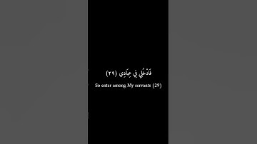 كرومات سوداء _ عمرو علي الترباني _ سورة الفجر #كرومات_سوداء #تلاوة_خاشعة #قران_كريم #فيه_شفاء_للناس