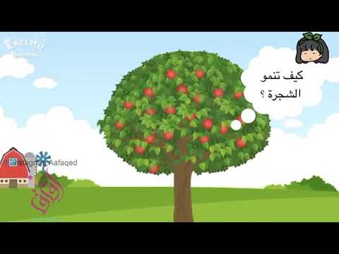 فيديو: ما يسمى النمو على الأشجار؟