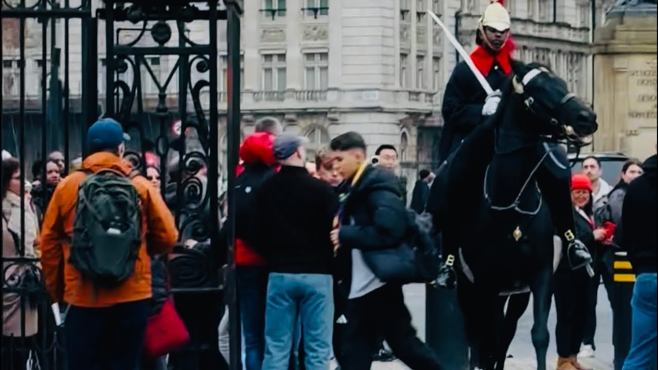 Unexpected moment! The horse suddenly ran out of the sentry box, surprising the tourists🐴😮