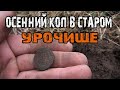 Осенний коп в старом урочище