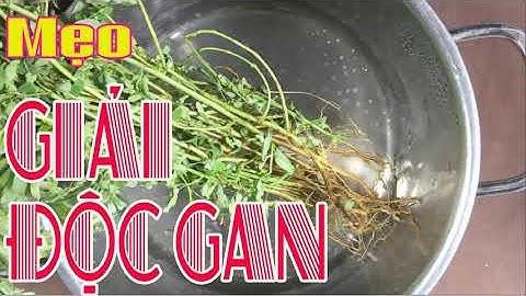 Một nắm cây chó đẻ và bài thuốc giải độc gan tại nhà cực hay mọi người nên biết [Mẹo sống khỏe]